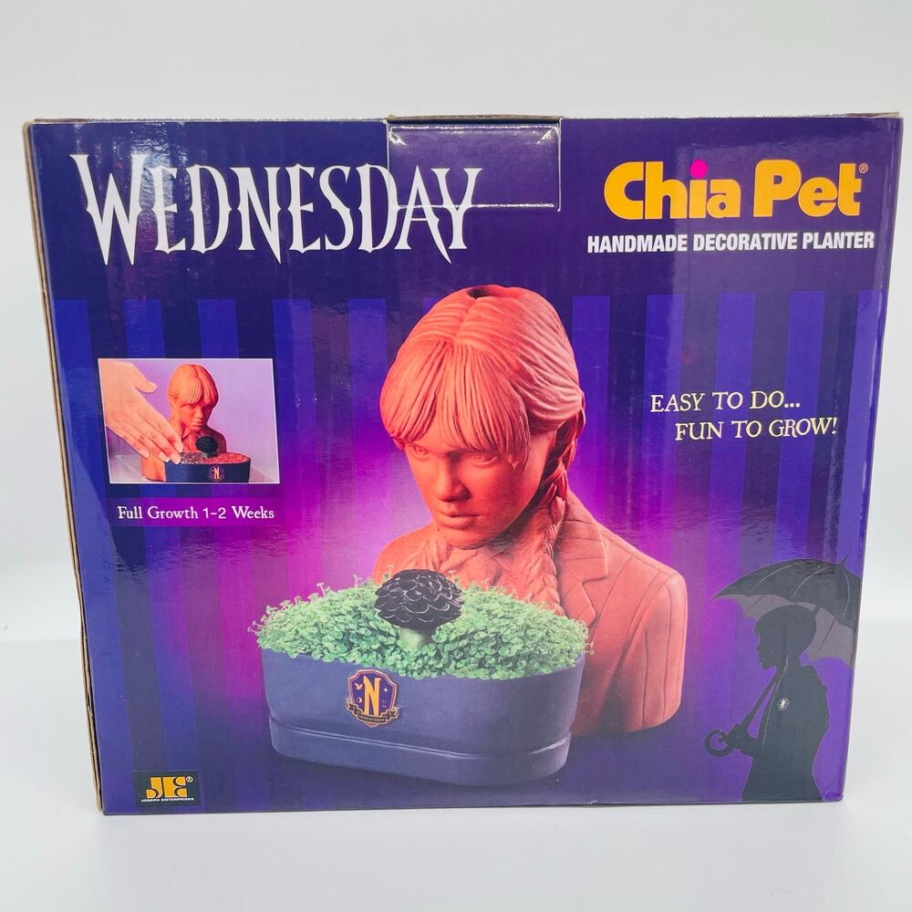 Chia Pet Wednesday Decorative Pottery Planter Addam’s Family NIB